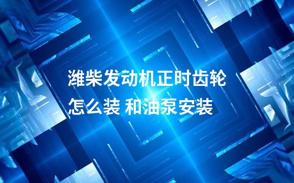 潍柴发动机正时齿轮怎么装 和油泵安装